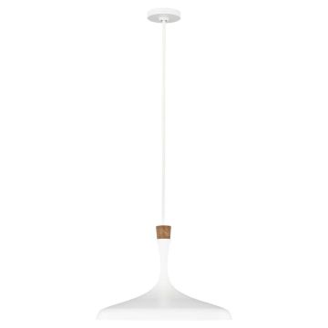 Darwin 1 Light Pendant - Matte White with Wood accent