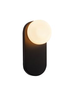 Ariel 1 Light Wall Light