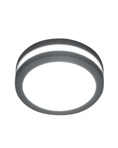 Ano 1 Light Wall / Ceiling Lantern - Graphite