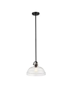 Hampton 1 Light Duo-Mount Pendant
