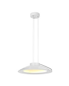 Europa 1 Light Large LED Pendant - White Painted