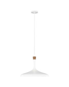 Darwin 1 Light Pendant - Matte White with Wood Accent