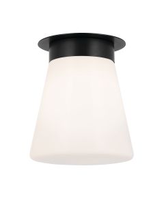 Albers Flush 1 lt Ceiling Light - Black