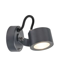 Moss LED Wall Light - Graphite