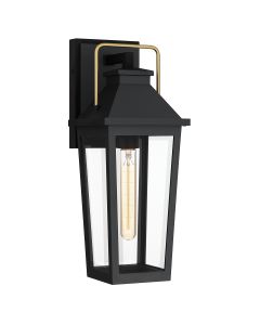 Buckley 1 lt Coastal Medium Outdoor Wall Lantern - Matt Black & Brass Accent
