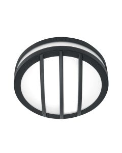 Sven 1 Light Wall/Ceiling Lantern - Graphite