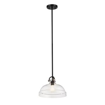Hampton 1 Light Duo-Mount Pendant
