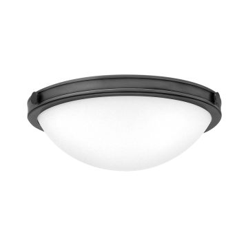 Collier 2 lt Small Flush - Black Oxide