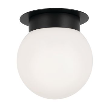 Albers Flush 1 lt Ceiling Light - Black