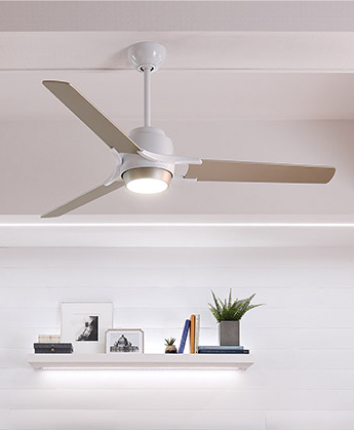 Ceiling Fans